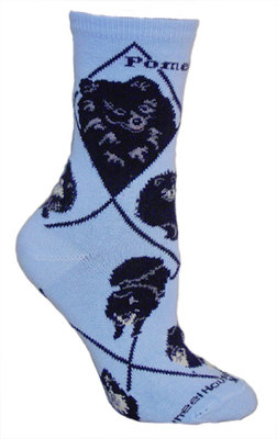 Pomeranian, Black on light blue PH923