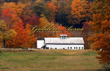 Holderness Farm 2009