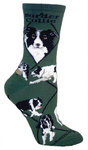 Border Collie on hunter PH893