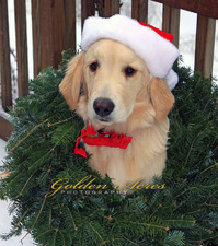 "Ho...Ho.......Ho......"