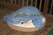 Camping Out