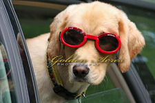 Too Cool , Emma