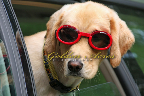 Too Cool , Emma