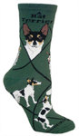 Rat Terrier on hunter PH902