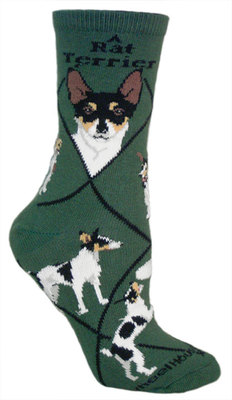 Rat Terrier on hunter PH902