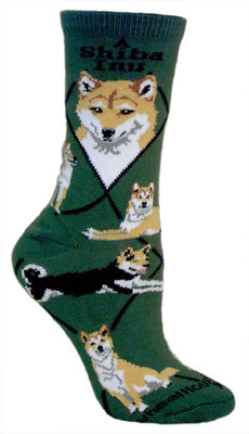 Shiba Inu on hunter PH904