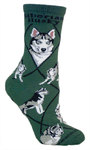 Siberian Husky on hunter PH905
