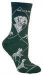 Weimaraner on hunter PH912