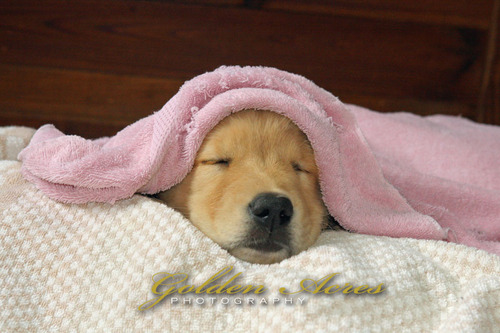 Fresh from the Bath