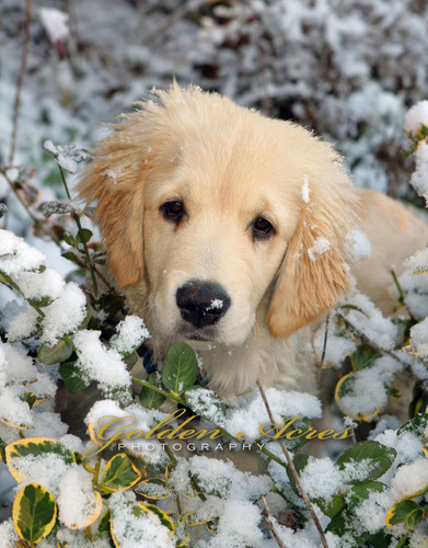 Eli's First Snow