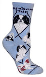 Japanese Chin on light blue PH859