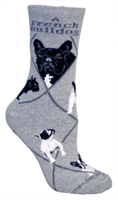 French Bulldog on gray PH869