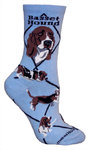 Basset Hound on light blue PH919
