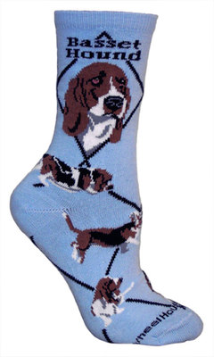 Basset Hound on light blue PH919
