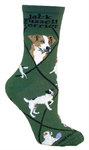 Jack Russell Terrier on hunter PH900