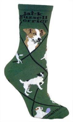 Jack Russell Terrier on hunter PH900