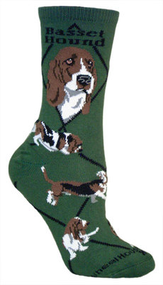 Basset Hound on hunter PH916