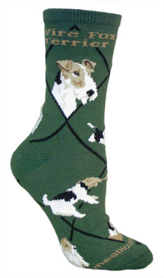 Wire Fox Terrier on hunter PH906