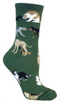 Dogs All Over on hunter PH908