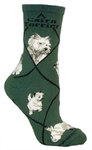 Cairn Terrier on hunter PH913
