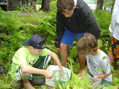 Boys exploring the natural world