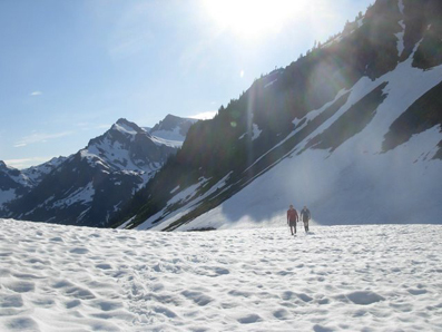 Snowfields