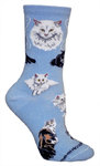 Persian Cats light blue PH829