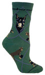 Doberman Pinscher on hunter PH896