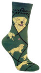 Golden Retriever on hunter PH805
