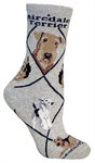 Airedale Terrier on gray PH863