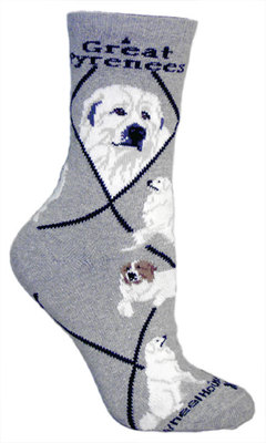 Great Pyrenees on gray PH882