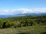The Real Jamaica