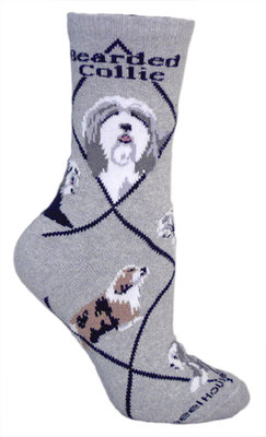 Bearded Collie gray PH883