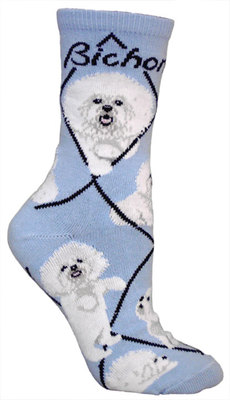 Bichon Frise on Light Blue PH692