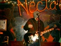 RANA GUITARIST RIPS