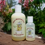 All Natural Shampoo