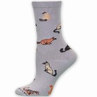 Cat Breeds Gray Sock
