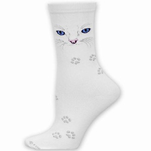 Cat Face White