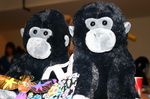 MonkeyTime!