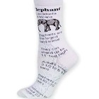 Elephant Facts