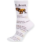 Lion Facts 510