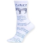 Zebra Facts