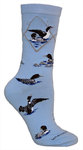 Loons on light blue LW486