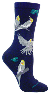 Cockatiel on navy LW491