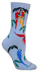 Parrot, Macaw on light blue LW481