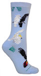 Cockatoo on light blue LW492