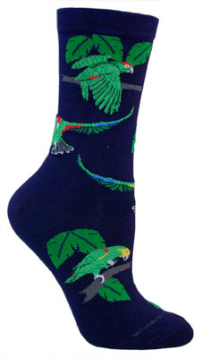 Parrot, Amazon on navy LW484