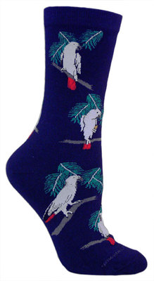 Parrot, African Gray on navy LW483