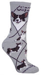 Cardigan Welsh Corgi on gray PH931