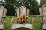 Adirondack chairs